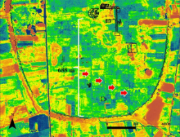 High resolution satellite image of Mantineia outlining the trace of south-north streets of the ancient city